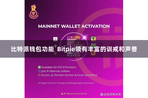 比特派钱包功能 Bitpie领有丰富的训戒和声誉