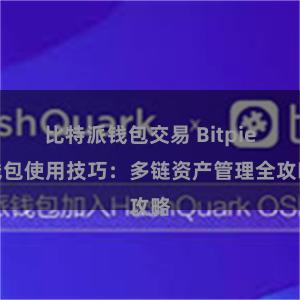 比特派钱包交易 Bitpie钱包使用技巧：多链资产管理全攻略