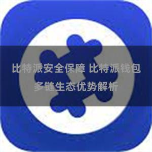 比特派安全保障 比特派钱包多链生态优势解析