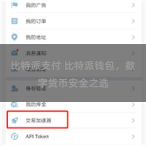 比特派支付 比特派钱包，数字货币安全之选