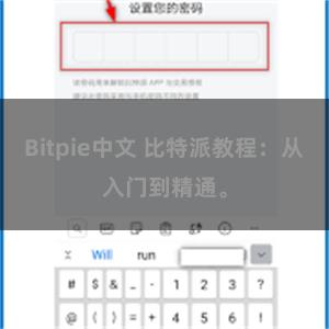 Bitpie中文 比特派教程：从入门到精通。