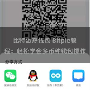 比特派热钱包 Bitpie教程：轻松学会多币种钱包操作