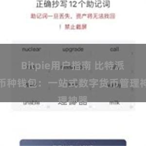 Bitpie用户指南 比特派多币种钱包：一站式数字货币管理神器