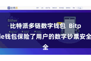 比特派多链数字钱包  Bitpie钱包保险了用户的数字钞票安全