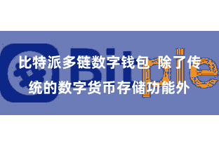 比特派多链数字钱包  除了传统的数字货币存储功能外