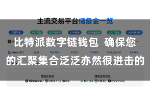 比特派数字链钱包  确保您的汇聚集合泛泛亦然很进击的